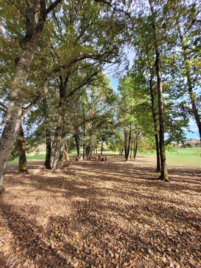 Maison Neuve Bord De Dordogne Lanzac Εξωτερικό φωτογραφία